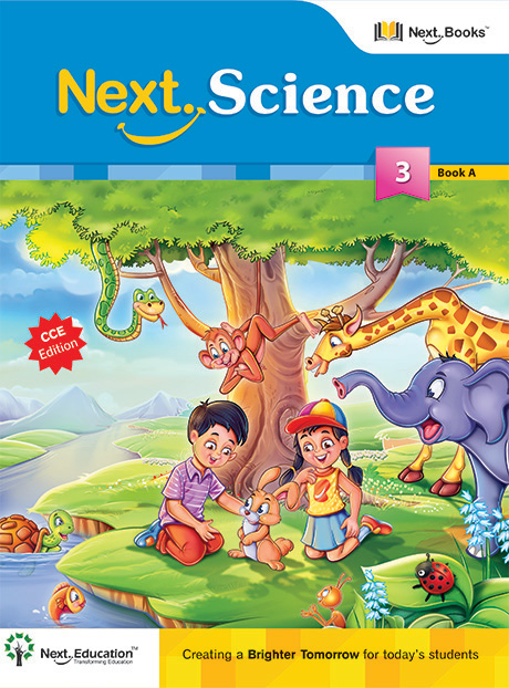 1st Grade Science Textbook
