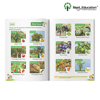 NextPlayThe Little Explorer Primer B Book A